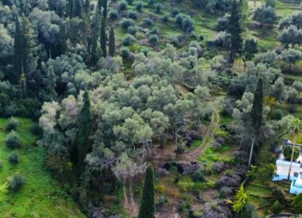 Земля за 330 000 евро на Корфу, Греция