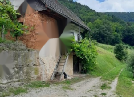 Дом за 55 000 евро в Ново-Место, Словения