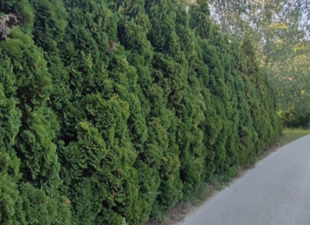 Дом за 60 000 евро в Брежице, Словения