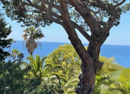 Квартира за 229 000 евро в Каннах, Франция