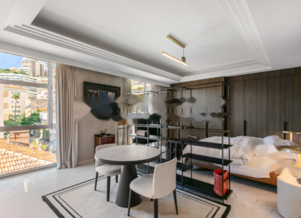 Квартира за 3 000 000 евро в Ла-Кондамине, Монако