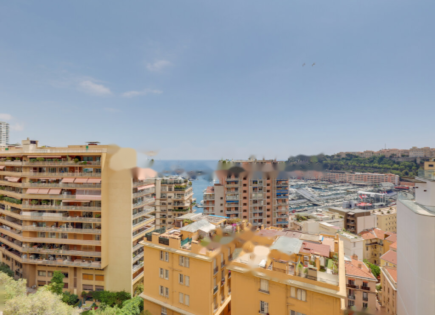 Квартира за 5 300 000 евро в Ла-Кондамине, Монако