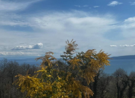 Дом за 1 300 000 евро в Опатии, Хорватия