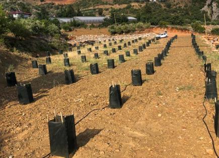 Земля за 85 700 евро в Алании, Турция