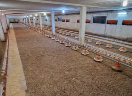 Ферма за 880 000 евро в Словенска-Бистрице, Словения