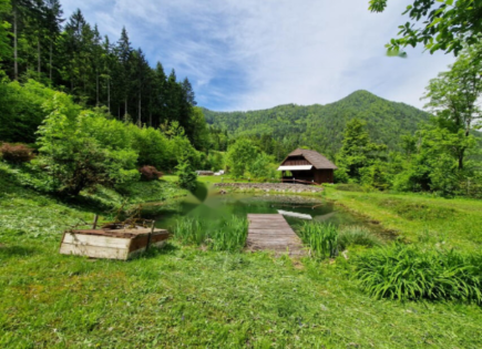 Ферма за 740 000 евро в Равне-на-Корошкем, Словения