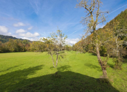 Ферма за 930 000 евро в Рожнике, Словения