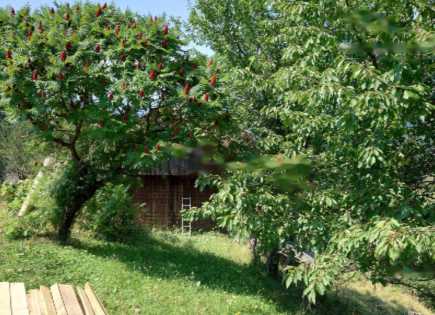 Ферма за 222 222 евро в Равне-на-Корошкем, Словения