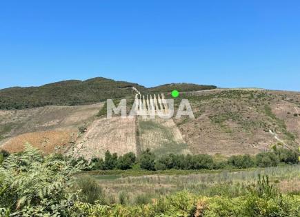 Земля за 100 000 евро в Албании