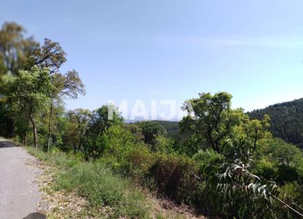 Земля за 55 000 евро в Португалии