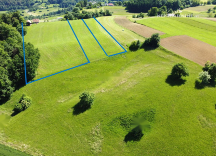 Ферма за 100 000 евро в Шентюре, Словения