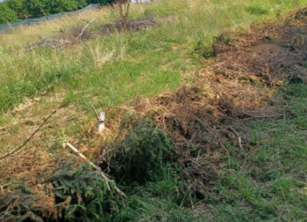 Земля за 450 000 евро в Любляне, Словения