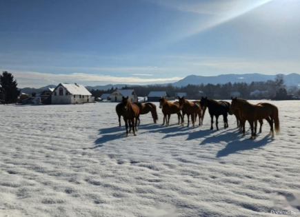 Ферма за 170 000 евро в Целе, Словения