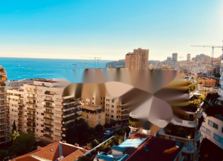 Квартира за 6 450 000 евро в Сен-Романе, Монако