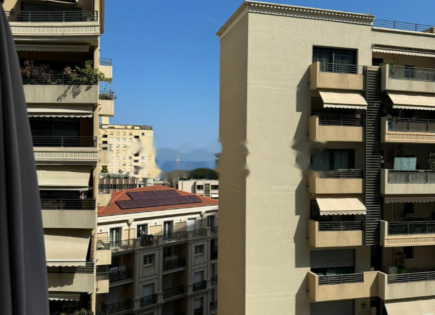 Квартира за 4 800 000 евро в Ла-Кондамине, Монако