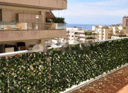 Квартира за 5 350 000 евро в Сен-Романе, Монако