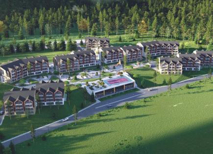 Инвестиционный проект за 43 500 евро в Бакуриани, Грузия