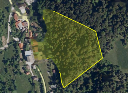 Ферма за 179 000 евро в Литие, Словения