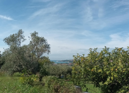 Ферма за 149 000 евро в Пиране, Словения