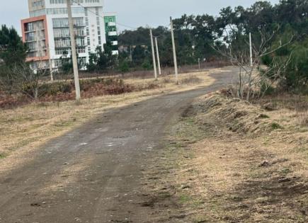 Земля за 232 740 евро в Батуми, Грузия
