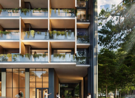 Инвестиционный проект за 35 000 евро в Батуми, Грузия