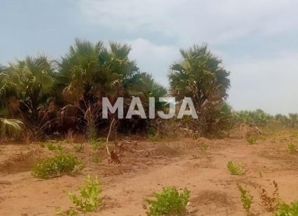 Земля за 59 939 евро в Гамбии
