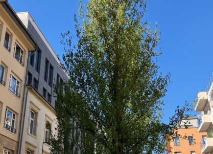 Квартира за 415 000 евро в Люксембурге, Люксембург