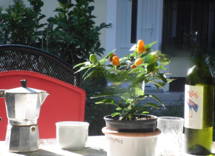 Квартира за 370 000 евро в Опатии, Хорватия