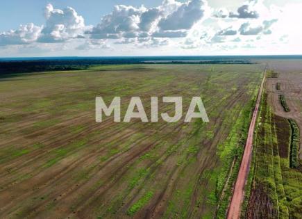 Земля за 55 000 000 евро в Бразилии