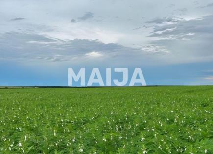 Земля за 39 000 000 евро в Бразилии