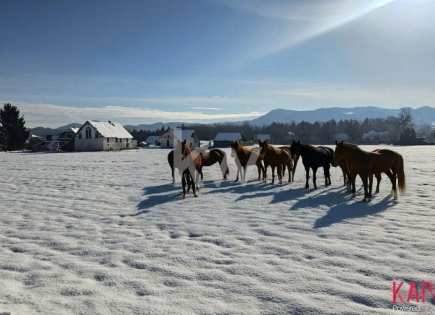 Ферма за 170 000 евро в Целе, Словения