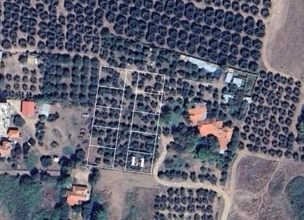 Земля за 92 000 евро в Ситонии, Греция