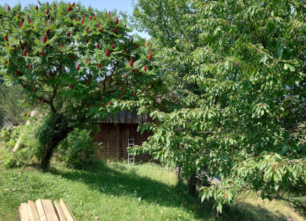 Ферма за 222 222 евро в Равне-на-Корошкем, Словения