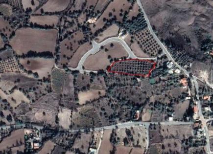 Коммерческая недвижимость за 200 000 евро в Ласа, Кипр