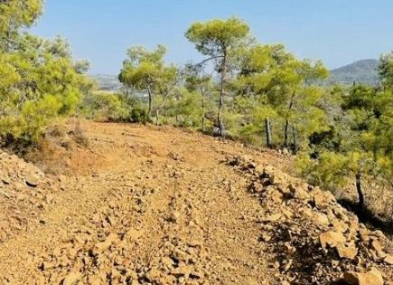 Коммерческая недвижимость за 395 000 евро на Кипре
