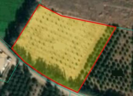 Земля за 550 000 евро в Мандрии, Кипр