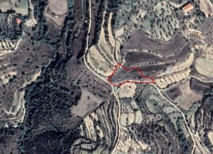 Коммерческая недвижимость за 140 000 евро в Каллепии, Кипр