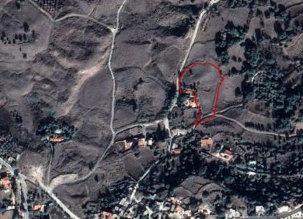 Коммерческая недвижимость за 165 000 евро в Ласа, Кипр