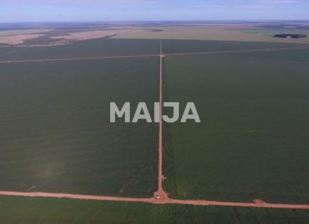 Земля за 23 100 000 евро в Бразилии