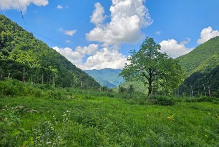 Земля за 43 582 евро в Батуми, Грузия