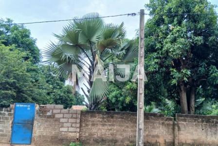 Земля за 24 510 евро в Гамбии