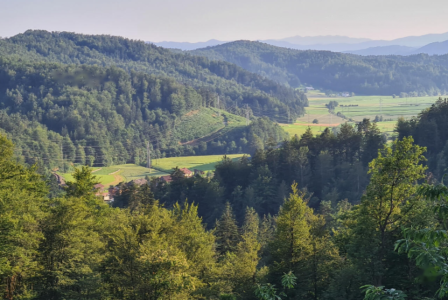 Ферма за 380 000 евро в Шкофльице, Словения