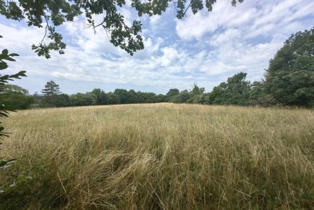 Земля за 1 250 000 евро в Комене, Словения