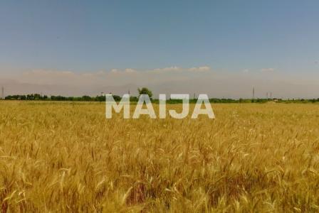 Земля за 19 500 000 евро в Румынии