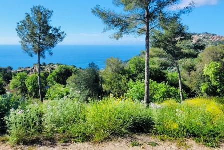 Инвестиционный проект за 2 700 000 евро в Кап-д'Ай, Франция