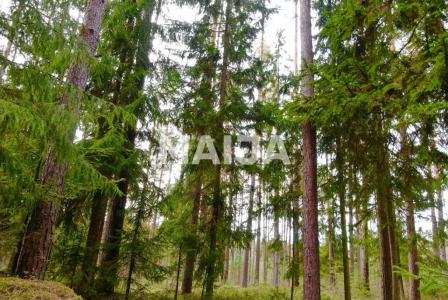 Земля за 49 440 евро в Латвии