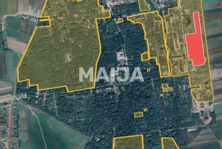 Земля за 50 000 000 евро в Румынии