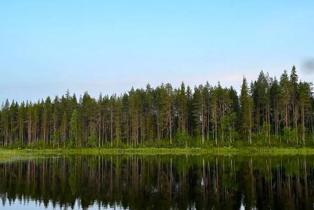 Земля за 165 000 евро в Рованиеми, Финляндия