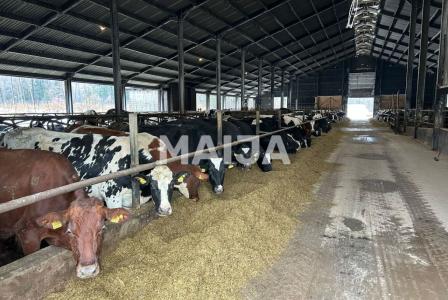 Земля за 2 500 000 евро в Сигулде, Латвия