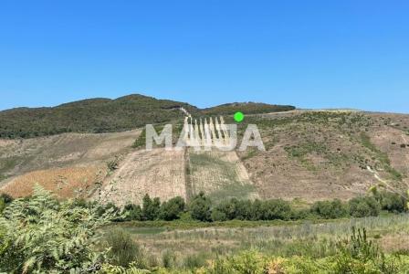 Земля за 100 000 евро в Албании